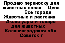 Продаю переноску для животных новая! › Цена ­ 500 - Все города Животные и растения » Аксесcуары и товары для животных   . Калининградская обл.,Советск г.